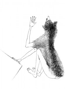 11)img052
